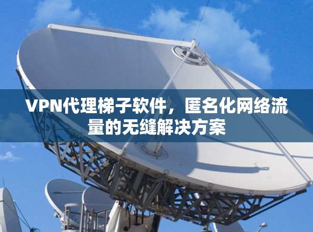 VPN代理梯子软件，匿名化网络流量的无缝解决方案