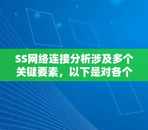 SS网络连接分析涉及多个关键要素，以下是对各个方面的总结和建议