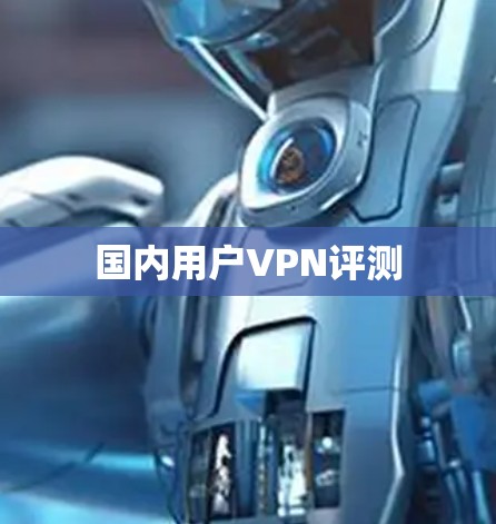 国内用户VPN评测