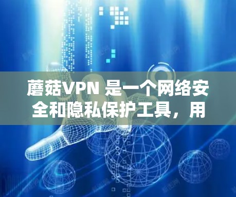 蘑菇VPN 是一个网络安全和隐私保护工具，用户可以通过它来加密网络流量，保护个人隐私。关于蘑菇VPN 的电脑版，以下是一些可能的步骤和注意事项
