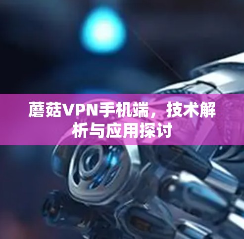 蘑菇VPN手机端，技术解析与应用探讨